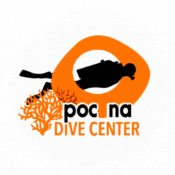 Логотип Pocna Dive Center